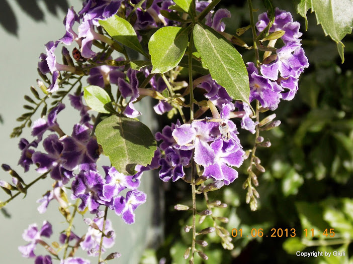 DSCN0040.JPG