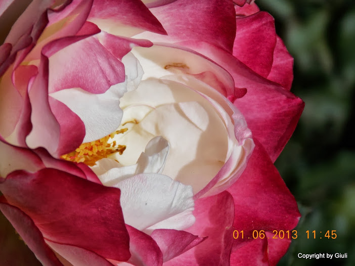DSCN0042.JPG