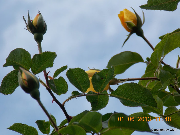 DSCN0050.JPG
