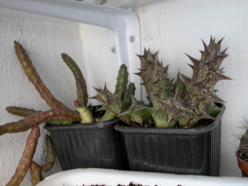Dscn0051%7E0.jpg
