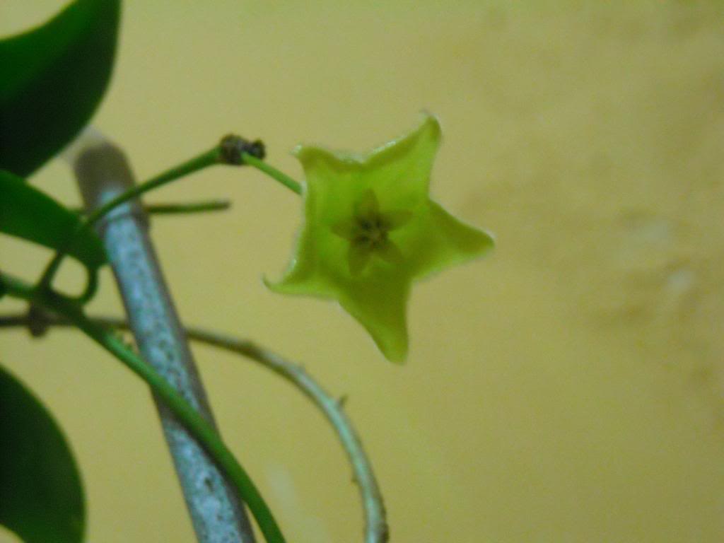 DSCN0051.jpg