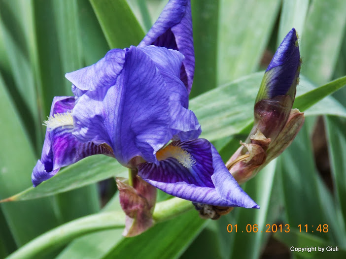 DSCN0053.JPG