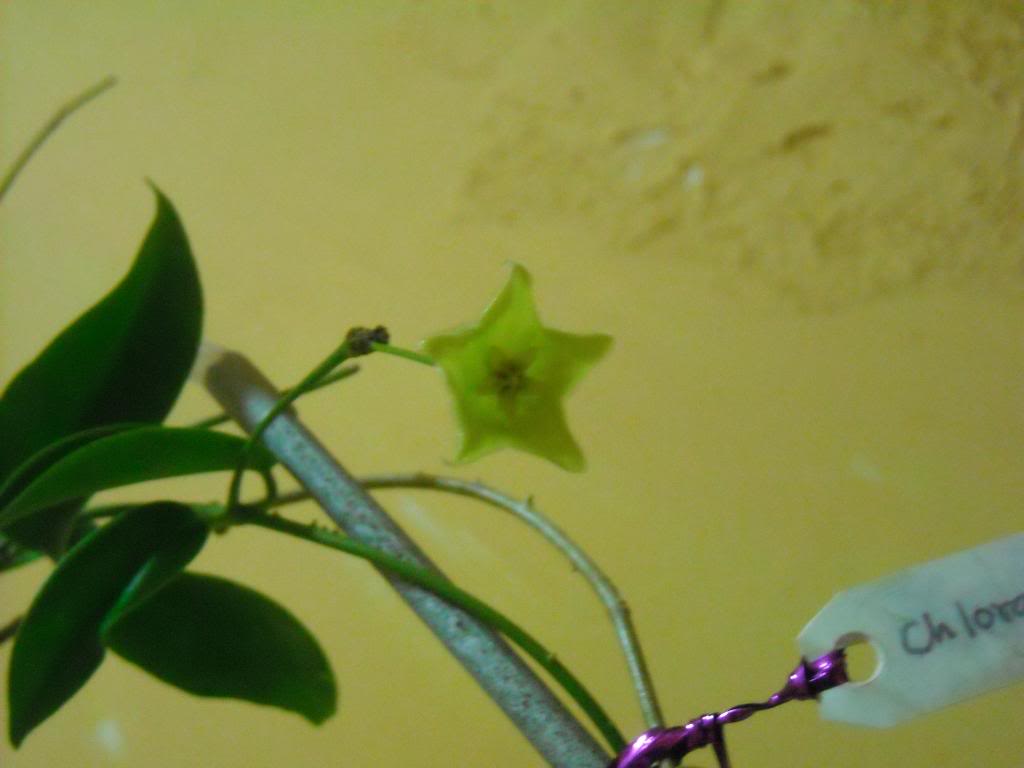 DSCN0055.jpg