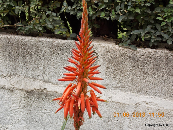 DSCN0057.JPG