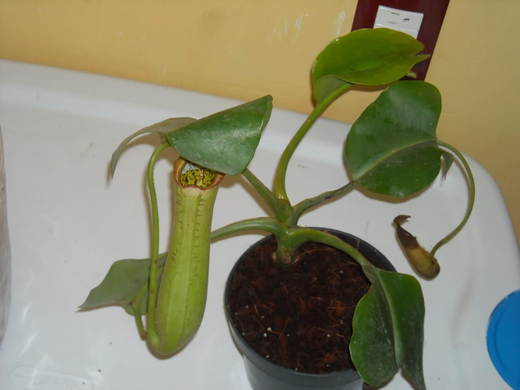 DSCN0059.jpg
