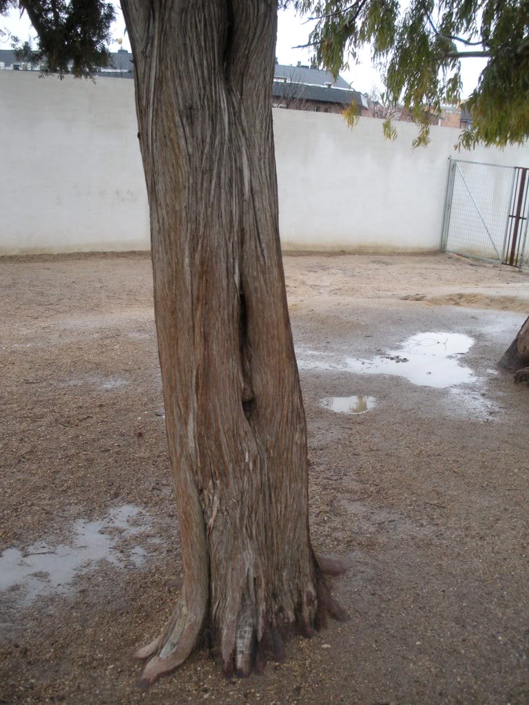DSCN0062.jpg