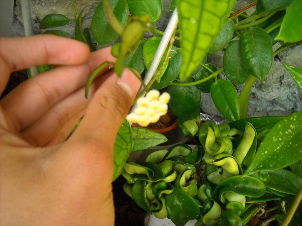 DSCN0063.jpg