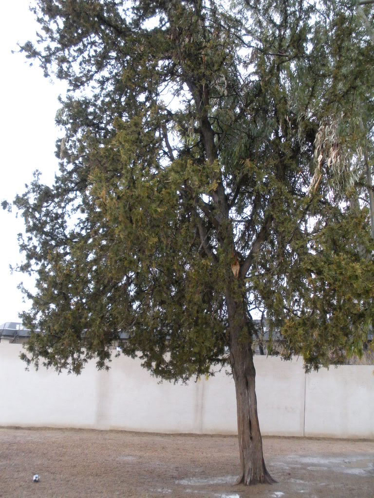 DSCN0064.jpg