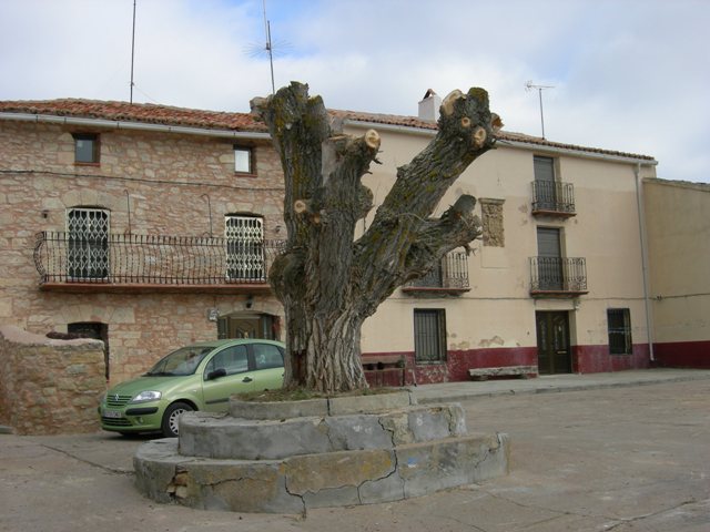 DSCN0083.jpg