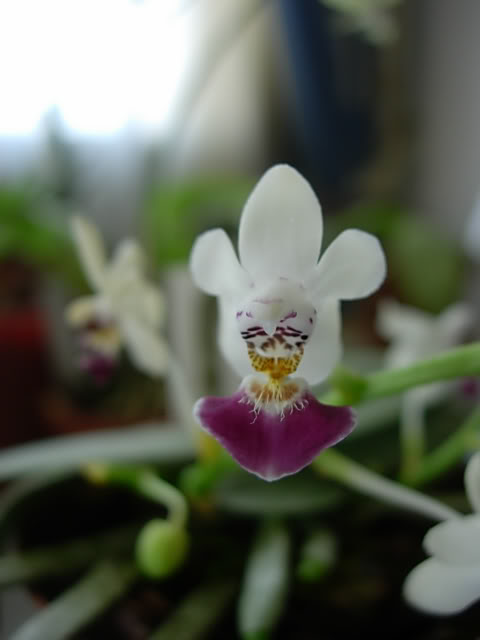 DSCN0093.jpg