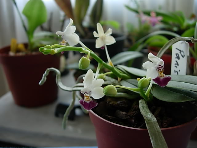 DSCN0100.jpg