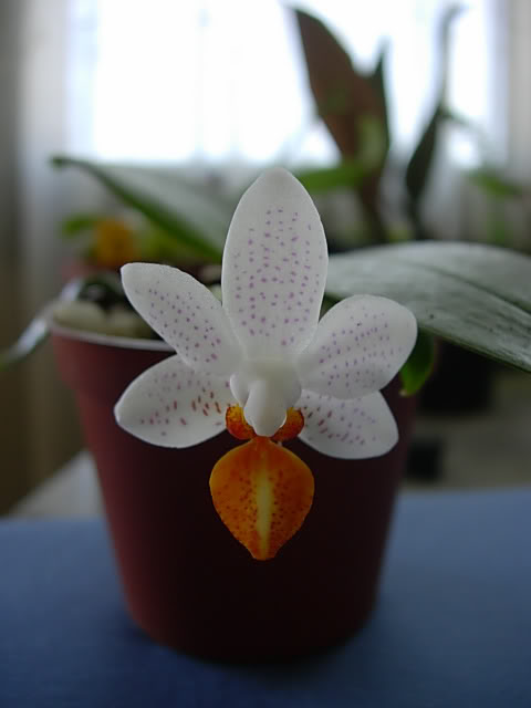 DSCN0101.jpg