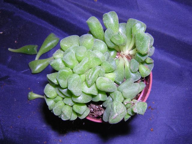 DSCN0102.JPG