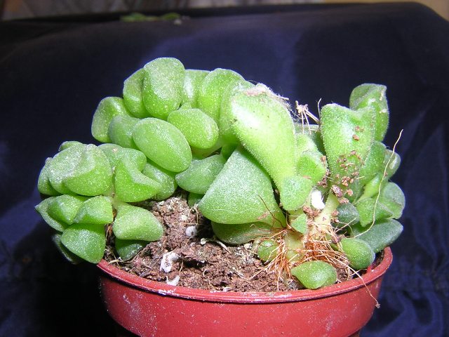 DSCN0103.JPG