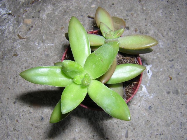 DSCN0104.JPG