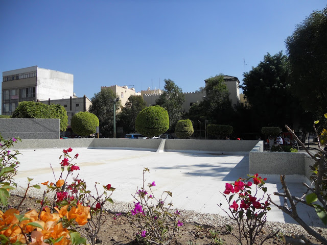 DSCN0104.JPG