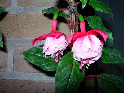 DSCN0112.JPG