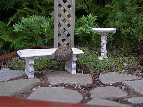 dscn0130.jpg