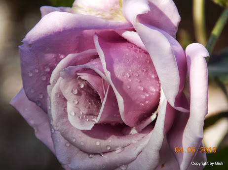DSCN0138.JPG