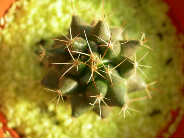 DSCN0148.jpg