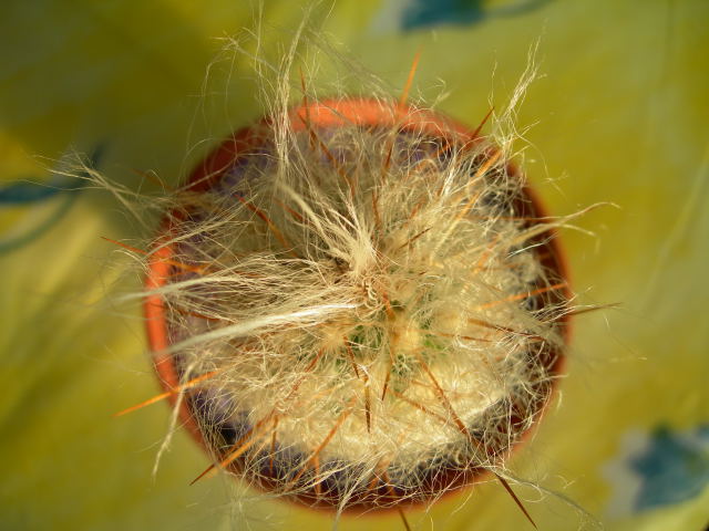 DSCN0150.jpg