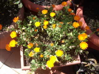 DSCN0153.jpg