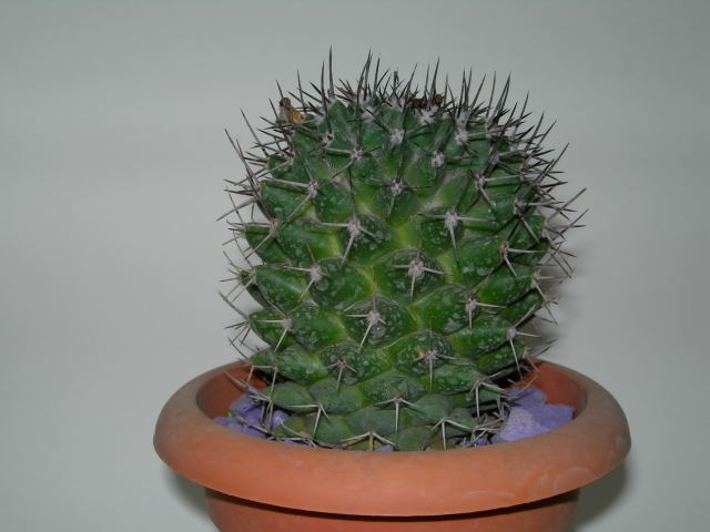 DSCN0163.jpg