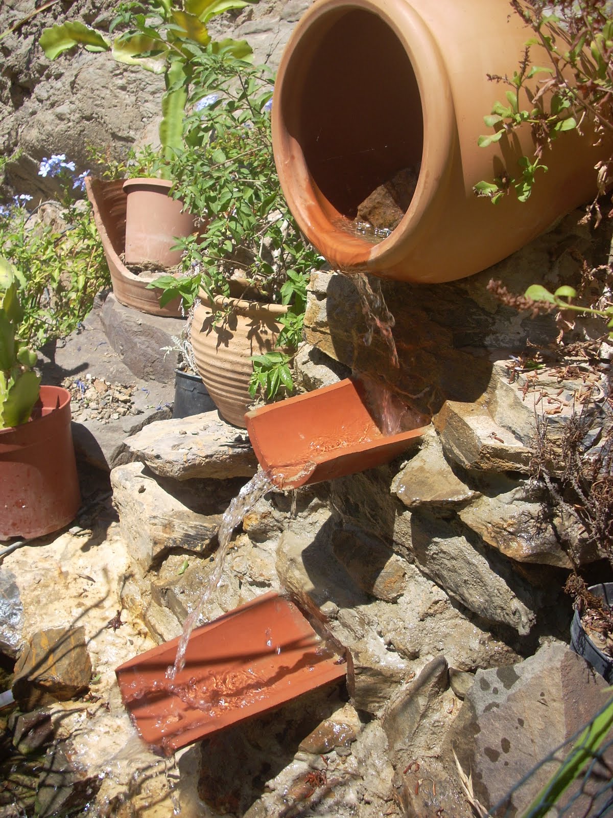 DSCN0163.JPG