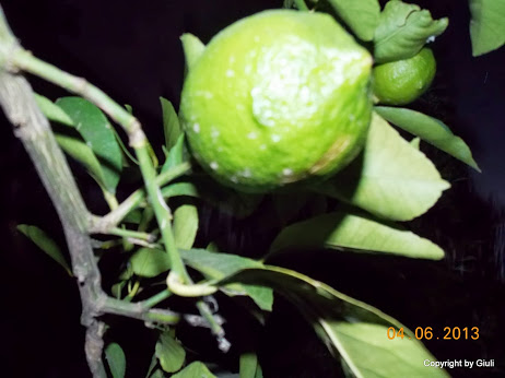 DSCN0170.JPG