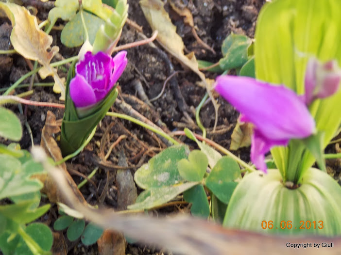 DSCN0173.JPG