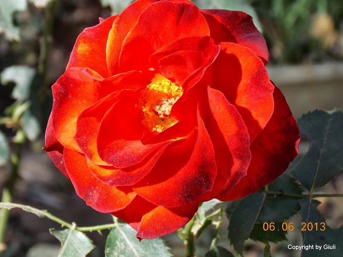 DSCN0178.JPG