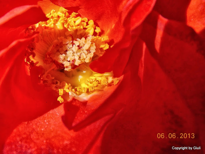 DSCN0179.JPG