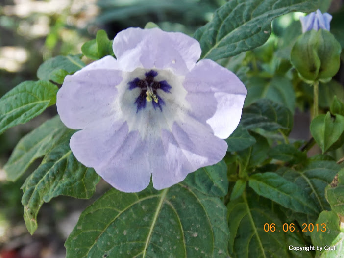 DSCN0182.JPG