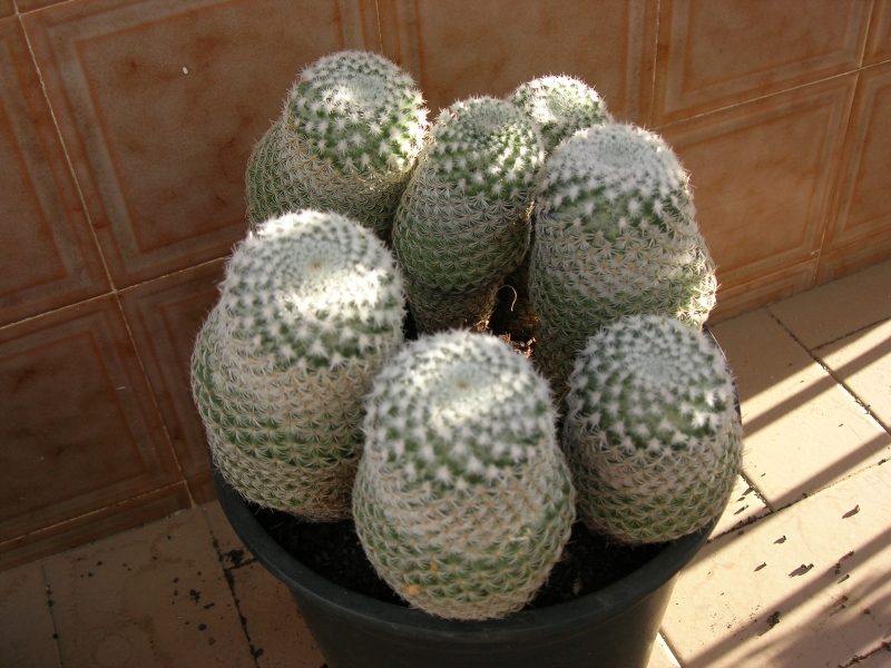 DSCN0188.jpg