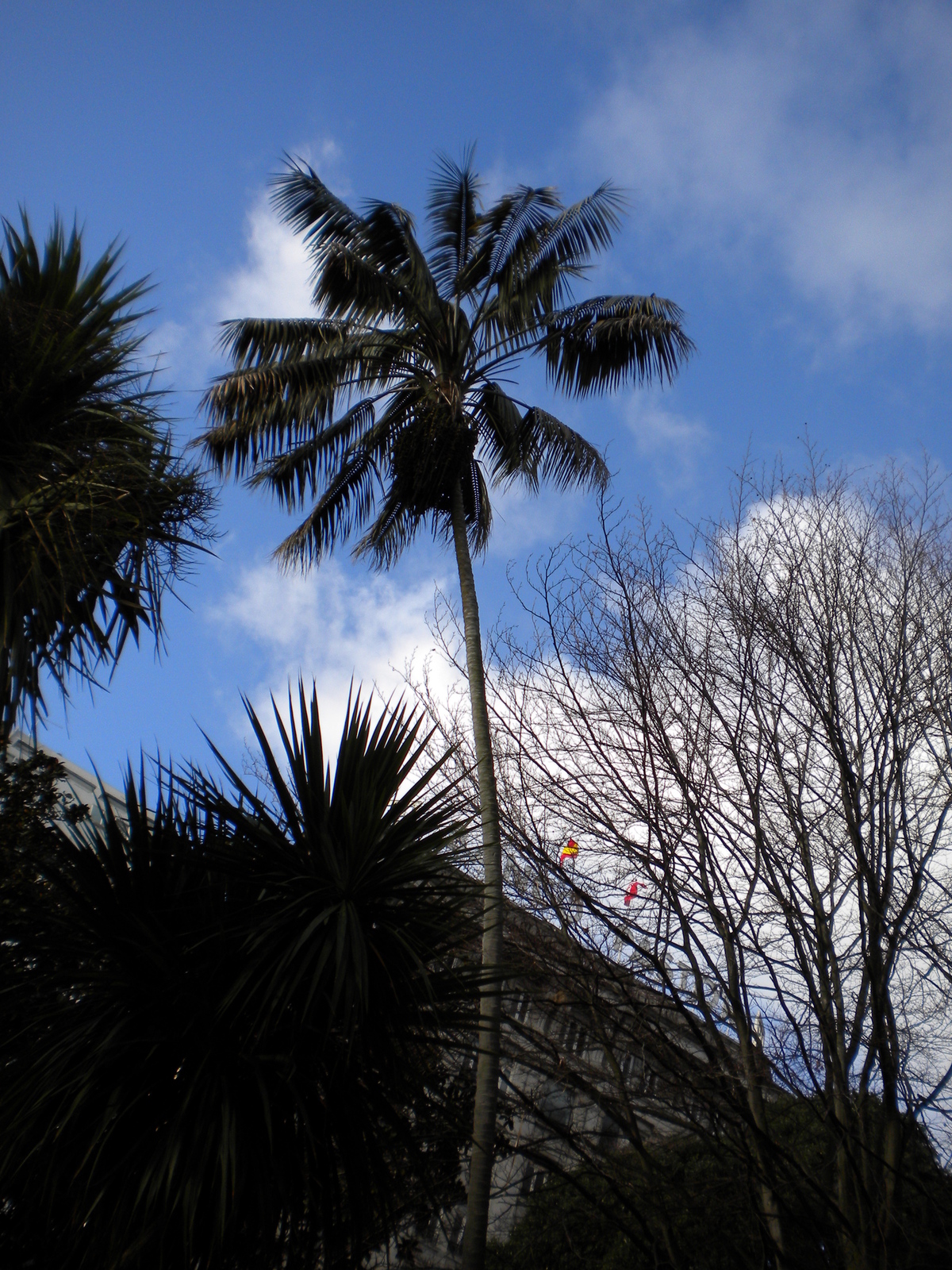 DSCN0194.JPG