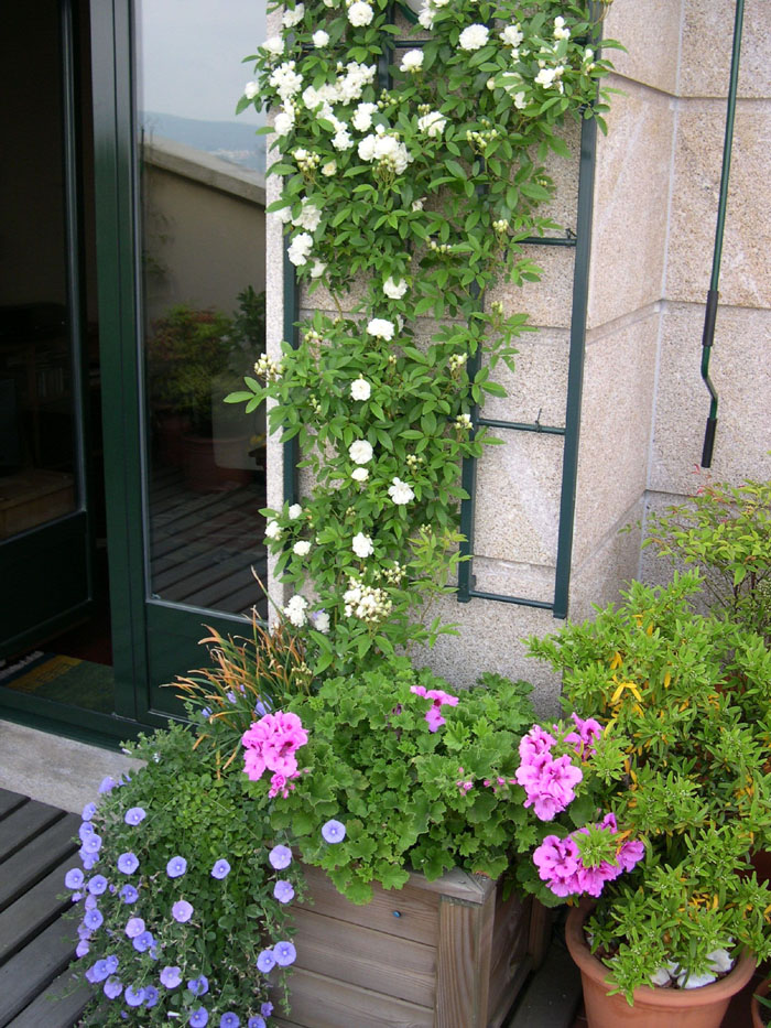 DSCN0203.JPG