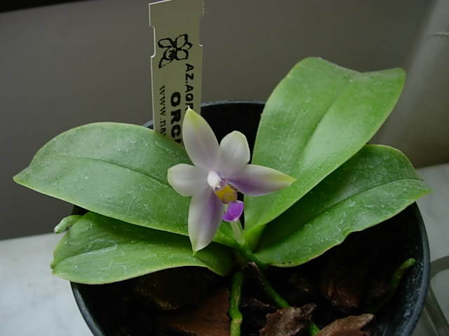 DSCN0205.jpg