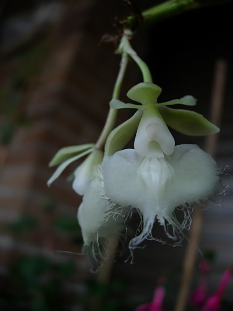 DSCN0216.jpg