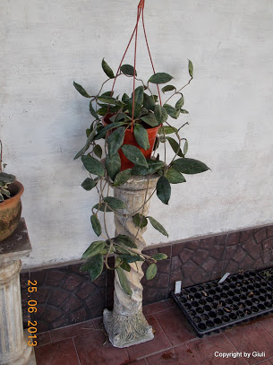 DSCN0221.JPG