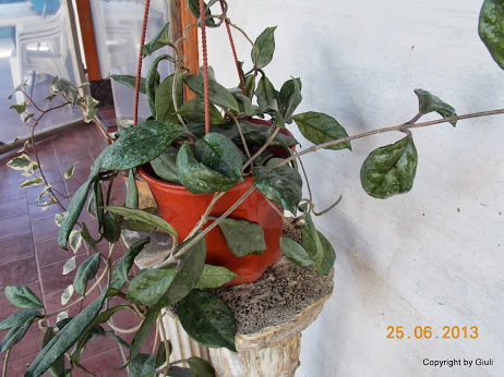 DSCN0222.JPG