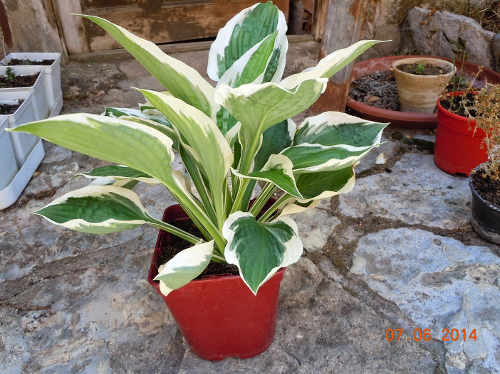 DSCN0224.JPG