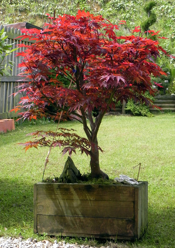 DSCN0226.jpg