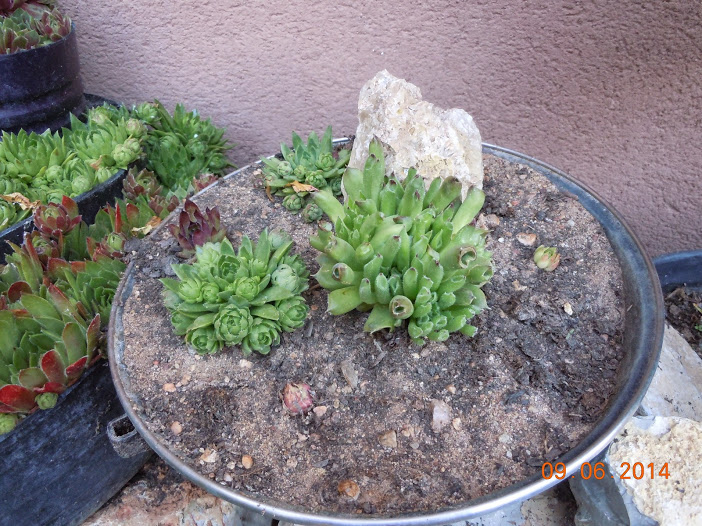 DSCN0228.JPG