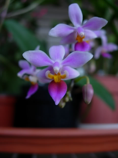 DSCN0236.jpg