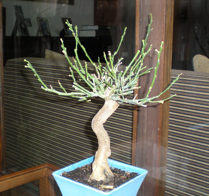 DSCN0249.jpg