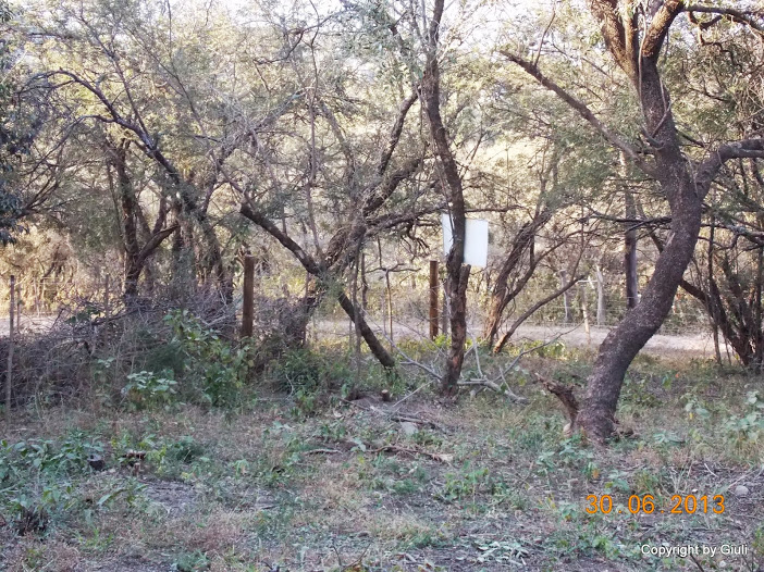 DSCN0259.JPG