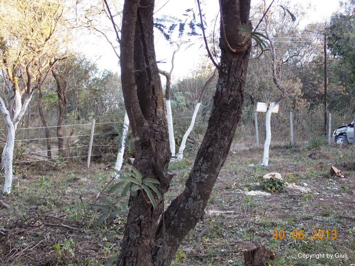 DSCN0263.JPG
