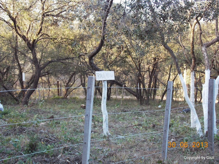 DSCN0264.JPG