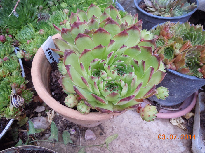 DSCN0267.JPG