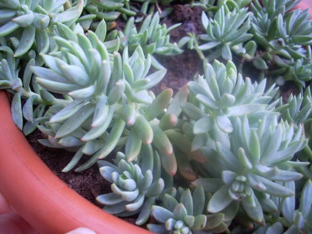 DSCN0269.jpg